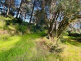Terrain à bâtir à La Seyne-sur-Mer (83500) 2497640-9707annonce220260430VrXJH.jpeg Maisons France Confort