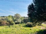 Terrain à bâtir à Ollioules (83190) 2499670-9707annonce420260504BvPhF.jpeg Maisons France Confort