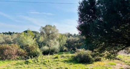 Ollioules Maison neuve - 2499676-9707annonce420260504BvPhF.jpeg Maisons France Confort