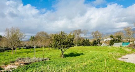Le Pradet Maison neuve - 2499862-9707annonce420260504HbTFT.jpeg Maisons France Confort