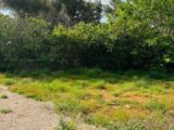 Terrain à bâtir à Bandol (83150) 2499905-9707annonce220260504l6Xmz.jpeg Maisons France Confort