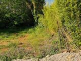 Terrain à bâtir à Bandol (83150) 2499905-9707annonce3202605046PBzr.jpeg Maisons France Confort