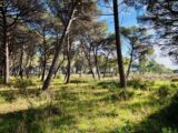 Terrain à bâtir à Carnoules (83660) 2499946-9707annonce220260504cKgAl.jpeg Maisons France Confort