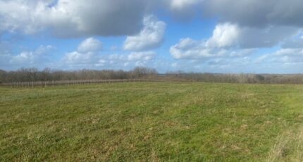 Bieujac Terrain à bâtir - 2502217-1086annonce120260505GVJ6l.jpeg Maisons France Confort