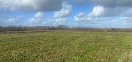Terrain à bâtir à Bieujac, Nouvelle-Aquitaine