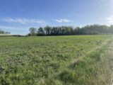 Terrain à bâtir à Gap (05000) 2504257-3921annonce320260507XMimQ.jpeg Maisons France Confort