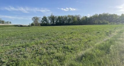 Gap Terrain à bâtir - 2504257-3921annonce320260507XMimQ.jpeg Maisons France Confort