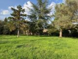 Terrain à bâtir à Bollène (84500) 2504954-6150annonce32026050951XFN.jpeg Maisons France Confort