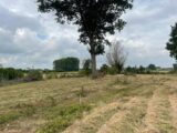 Terrain à bâtir à Lorgies (62840) 2472988-11030annonce220260401QieBE.jpeg Maisons France Confort