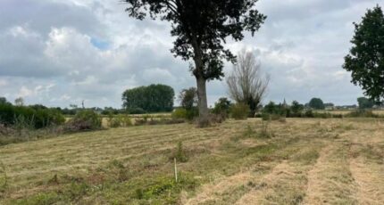 Lorgies Terrain à bâtir - 2472988-11030annonce220260401QieBE.jpeg Maisons France Confort