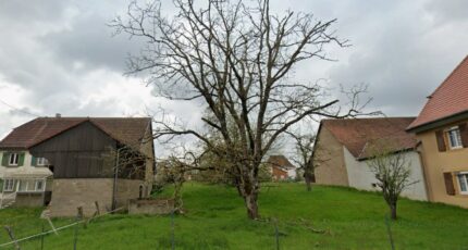 Aspach-le-Bas Maison neuve - 2436461-11207annonce120260220bUtm6.jpeg Maisons France Confort