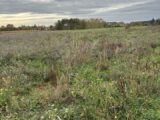 Terrain à bâtir à Chalonnes-sur-Loire (49290) 2419007-936annonce120260205HVt60.jpeg Maisons France Confort