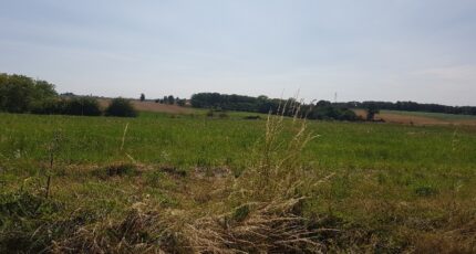 Reuilly Terrain à bâtir - 2449840-9835annonce1202603068B4fn.jpeg Maisons France Confort