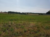 Maison à construire à Reuilly (27930) 2480661-9835annonce120260409eiV2T.jpeg Maisons France Confort