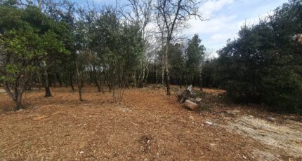 Labastide-de-Virac Maison neuve - 2480369-11001annonce120260409nJB6z.jpeg Maisons France Confort
