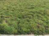 Maison à construire à Chanu (61800) 2506309-1153annonce120260511KBzSI.jpeg Maisons France Confort