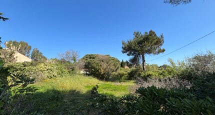 Hyères Maison neuve - 2506793-10122annonce220260511ts6ZU.jpeg Maisons France Confort