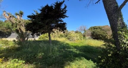 Hyères Terrain à bâtir - 2506766-10122annonce3202605114hXz1.jpeg Maisons France Confort