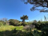 Terrain à bâtir à Hyères (83400) 2506766-10122annonce420260511tSo4d.jpeg Maisons France Confort