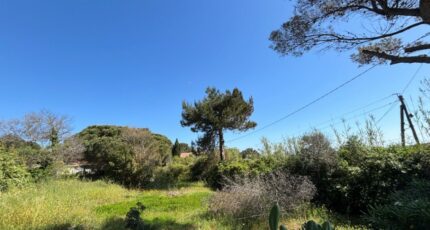 Hyères Terrain à bâtir - 2506766-10122annonce420260511tSo4d.jpeg Maisons France Confort