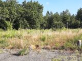 Maison à construire à Ardenay-sur-Mérize (72370) 2451384-6170annonce120260309HeFEE.jpeg Maisons France Confort