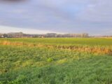 Terrain à bâtir à Comines (59560) 2418659-11632annonce220260204hhMyU.jpeg Maisons France Confort