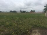 Maison à construire à Le Sequestre (81990) 2422262-2684annonce120260209HLDvU.jpeg Maisons France Confort
