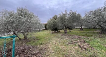 Manosque Terrain à bâtir - 2407763-2970annonce1202602241gcJS.jpeg Maisons France Confort