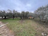Terrain à bâtir à Manosque (04100) 2407763-2970annonce220260224PZsA0.jpeg Maisons France Confort