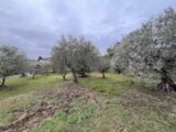 Terrain à bâtir à Manosque (04100) 2407763-2970annonce320260224IEuoz.jpeg Maisons France Confort