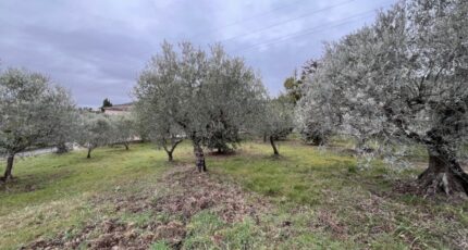 Manosque Terrain à bâtir - 2407763-2970annonce320260224IEuoz.jpeg Maisons France Confort