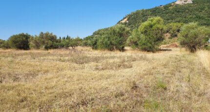 Gonfaron Terrain à bâtir - 2480793-11137annonce120250813UgIrW.jpeg Maisons France Confort