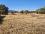 Terrain à bâtir à Gonfaron (83590) 2480793-11137annonce220250813sn2oU.jpeg Maisons France Confort