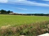 Maison à construire à Saint-Gauzens (81390) 2504562-2684annonce220260507wVGs2.jpeg Maisons France Confort