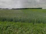 Terrain à bâtir à Héricourt-en-Caux (76560) 2507761-1887annonce120260512cW5gf.jpeg Maisons France Confort