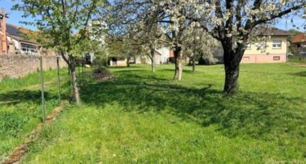 Osenbach Maison neuve - 2507584-11028annonce120260512kS2DR.jpeg Maisons France Confort