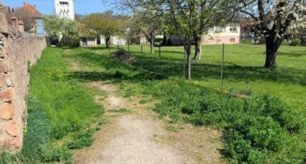 Osenbach Terrain à bâtir - 2507991-11028annonce120260512uVlzS.jpeg Maisons France Confort