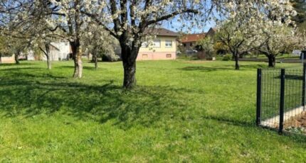 Osenbach Terrain à bâtir - 2507991-11028annonce3202605120nT8z.jpeg Maisons France Confort