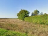 Terrain à bâtir à Vérines (17540) 2507634-11636annonce1202605129tyei.jpeg Maisons France Confort