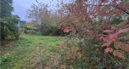 Les Essarts-le-Roi Terrain à bâtir - 2419921-10686annonce120260205Ari7h.jpeg Maisons France Confort