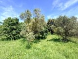 Terrain à bâtir à Cabriès (13480) 2509680-7054annonce2202605136NodT.jpeg Maisons France Confort