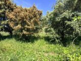 Terrain à bâtir à Cabriès (13480) 2509691-7054annonce420260513Tf2Ph.jpeg Maisons France Confort