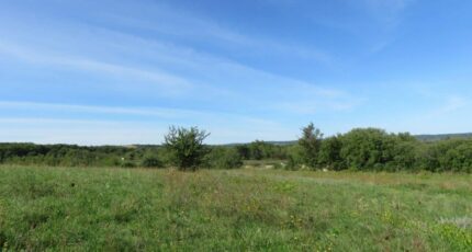Gaujac Terrain à bâtir - 2509717-609annonce120260513nI5AL.jpeg Maisons France Confort