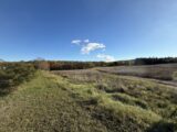 Terrain à bâtir à Montagnac (30350) 2509746-609annonce220260513u7oLF.jpeg Maisons France Confort