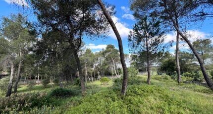 Guzargues Maison neuve - 2509949-3243annonce3202509173gsB6.jpeg Maisons France Confort