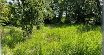 Cambron Maison neuve - 2510148-5042annonce12026051372Mu2.jpeg Maisons France Confort