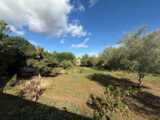 Maison à construire à La Crau (83260) 2510365-11136annonce120260513Isu9G.jpeg Maisons France Confort