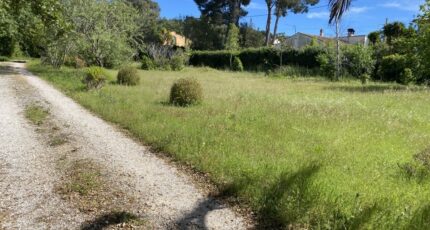 Pignans Terrain à bâtir - 2510375-11136annonce1202605137cHsR.jpeg Maisons France Confort