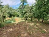 Terrain à bâtir à Le Cannet-des-Maures (83340) 2510479-11157annonce120260514hv2GU.jpeg Maisons France Confort