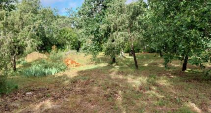 Le Cannet-des-Maures Terrain à bâtir - 2510479-11157annonce120260514hv2GU.jpeg Maisons France Confort